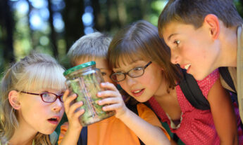 Forest schools, teaching and learning in natural environments