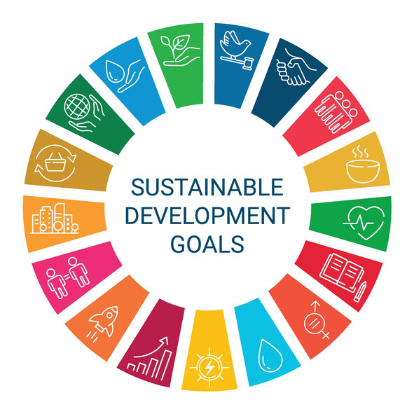 Sustainable Development Goals Unit Plan 