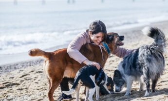 Canine Education Focused on the Human-Dog Tandem