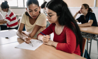 peer assessment for teaching and learning