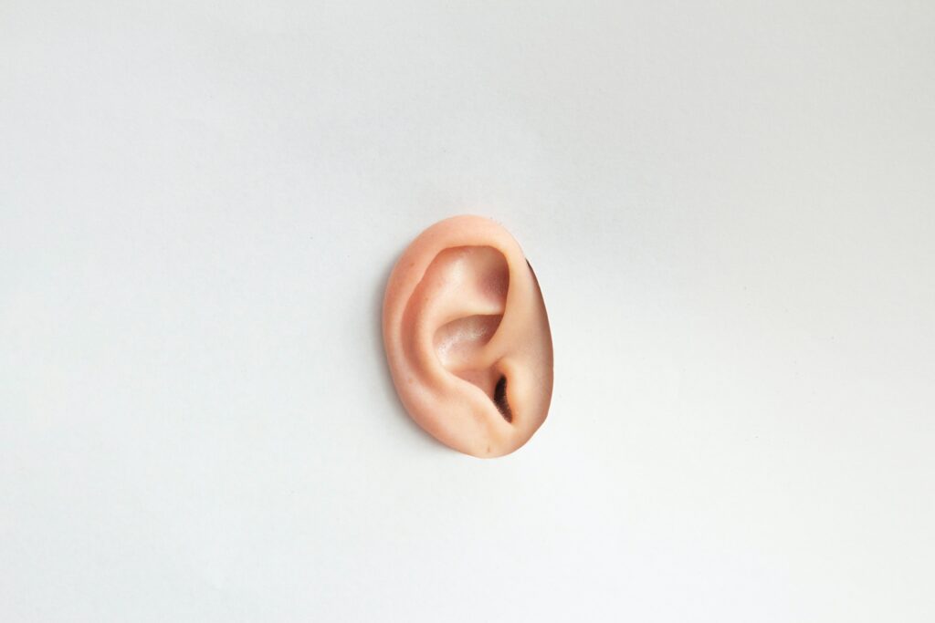 Ear comes out of cardboard.
