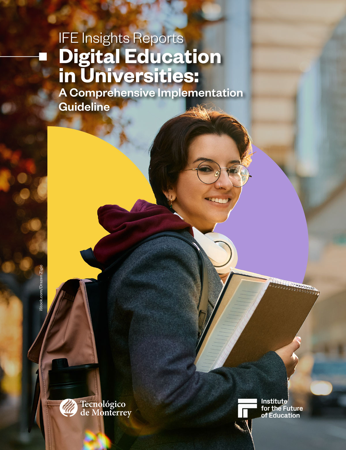 Digital Education in Universities: A Comprehensive Implementation Guideline