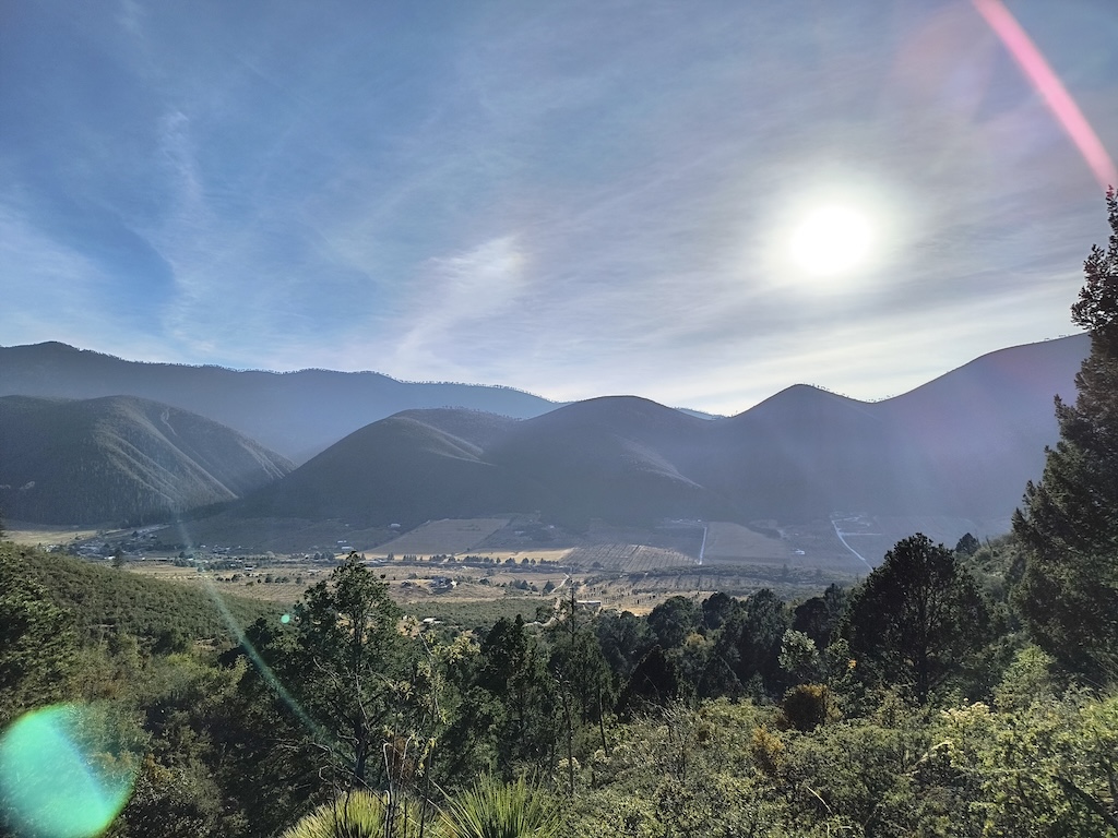 Opinion | Hope and Education