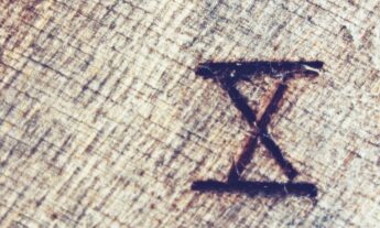 Opinion | Anthropo-ego-centrism