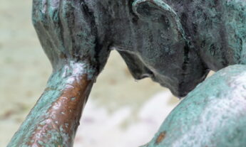 Opinion | Teaching to Think (Teacher or Expert Programmer?)