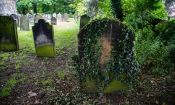 Opinion | Andrea (a Pedagogy for Death)