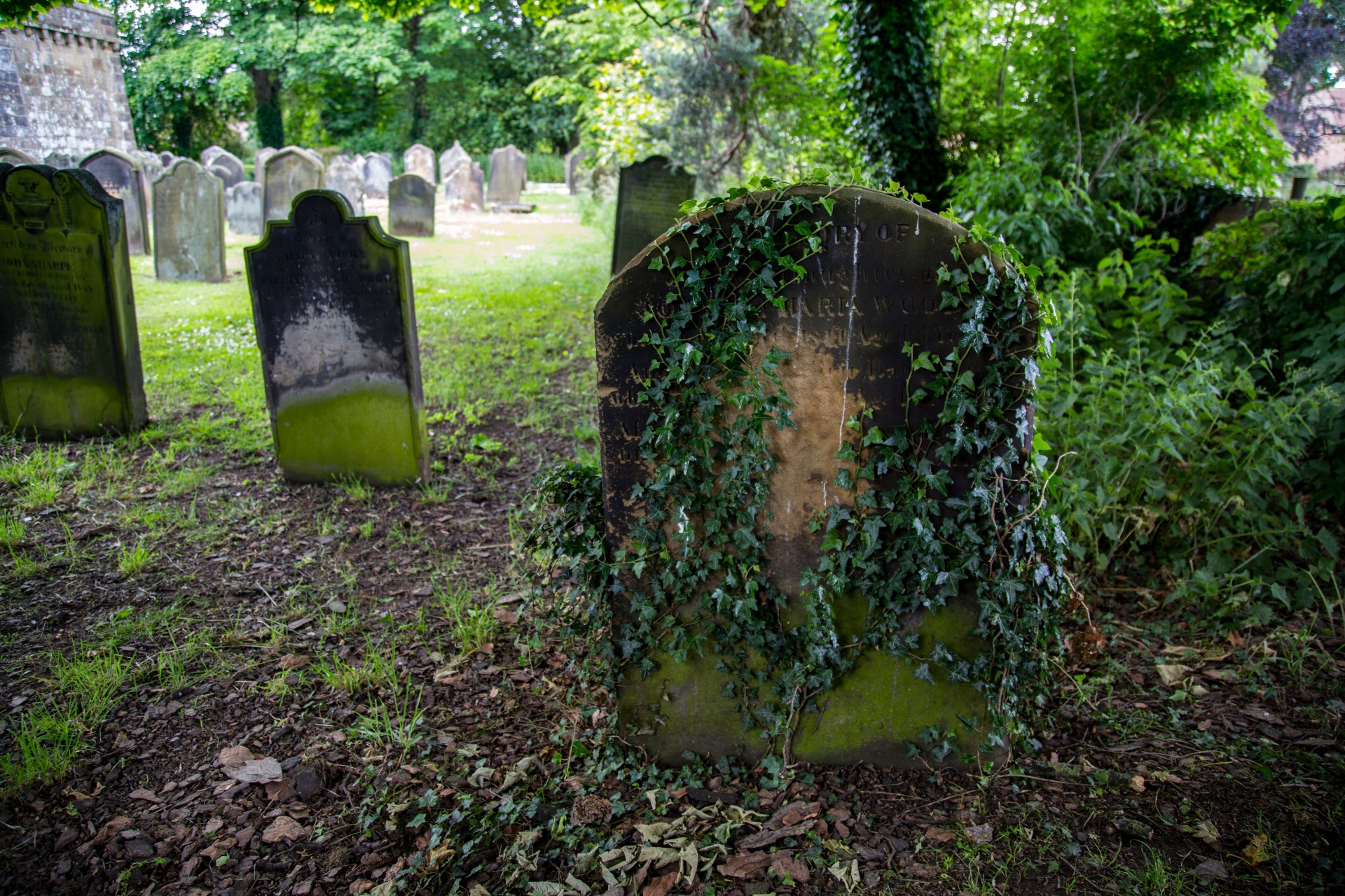 Opinion | Andrea (a Pedagogy for Death)