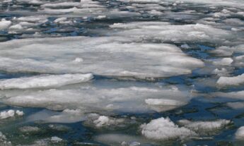 Opinion | In the Face of War: Education in Pain and Danger