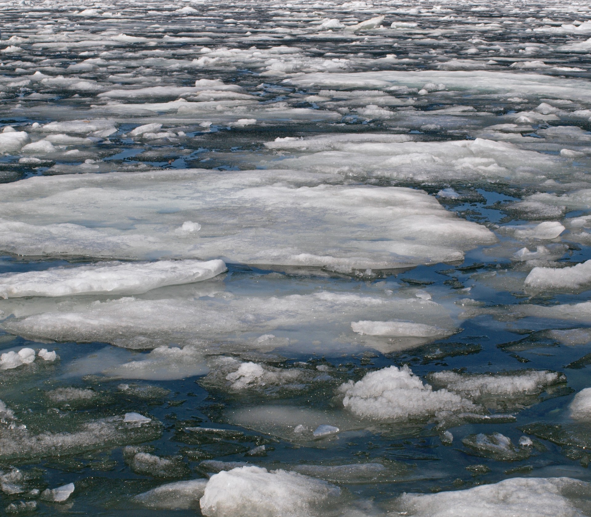 Opinion | In the Face of War: Education in Pain and Danger