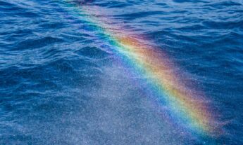 Opinion | Pride Month in Times of Retrogression