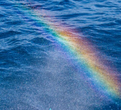 Opinion | Pride Month in Times of Retrogression