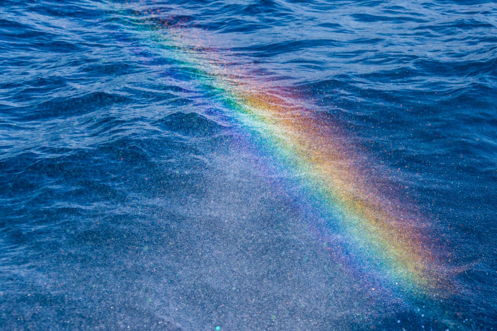 Opinion | Pride Month in Times of Retrogression