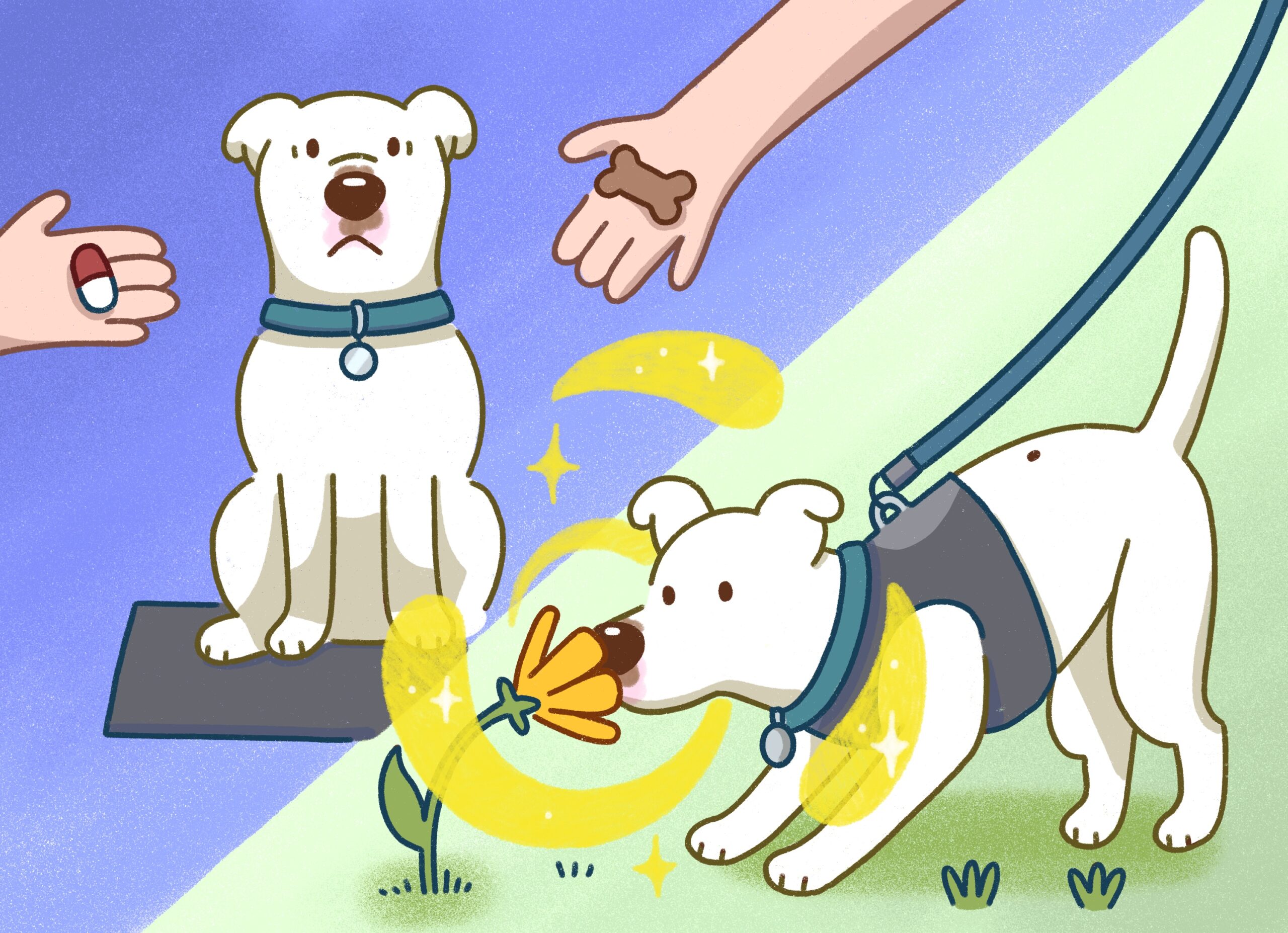Illustration by Stefi Sundays